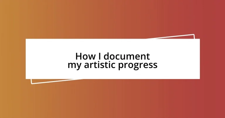 How I document my artistic progress